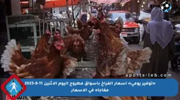 «توفير يومي» أسعار الفراخ بأسواق مطروح اليوم الإثنين 11-8-2025 مفاجأة في الأسعار